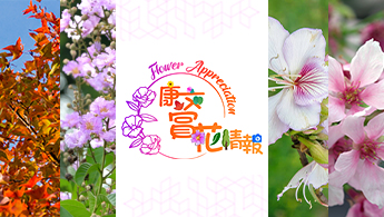 LCSD flower appreciation website